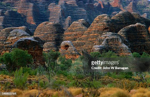 the amazing formations of the bungle bungle ( purnululu ) national park, the stripes of the rounded rock towers are alternate bands of orange ( silica ) and black ( lichen ) - bungle bungle stock-fotos und bilder