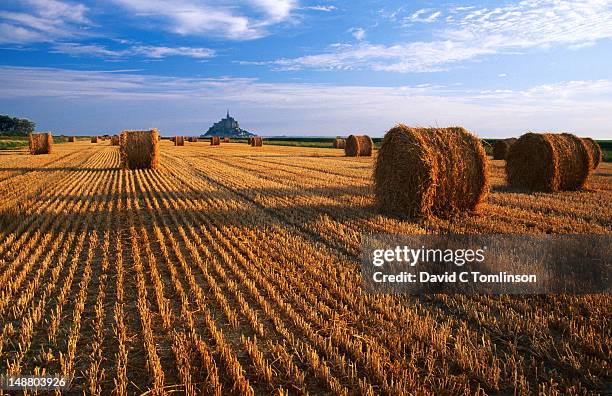 mont st michel across field of stubble. - michel field stockfoto's en -beelden