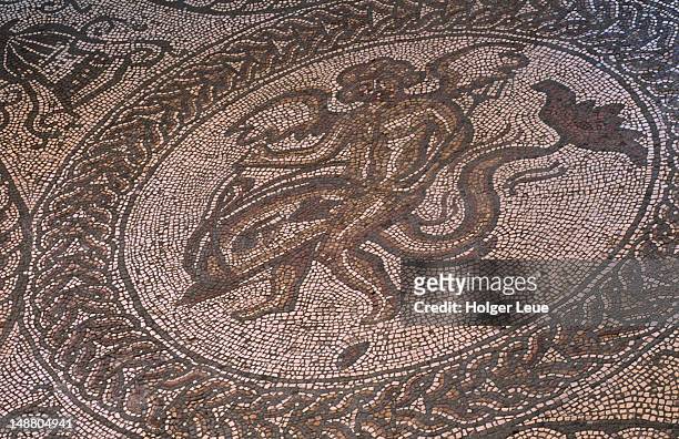 floor mosaic, fishbourne roman palace. - palace stock pictures, royalty-free photos & images