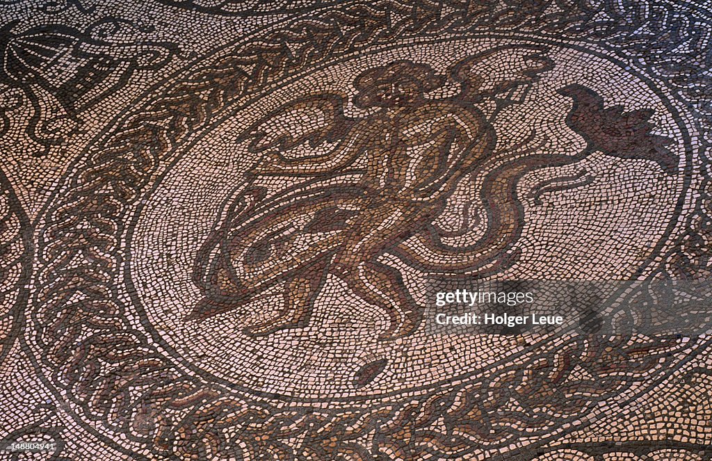 Floor mosaic, Fishbourne Roman Palace.
