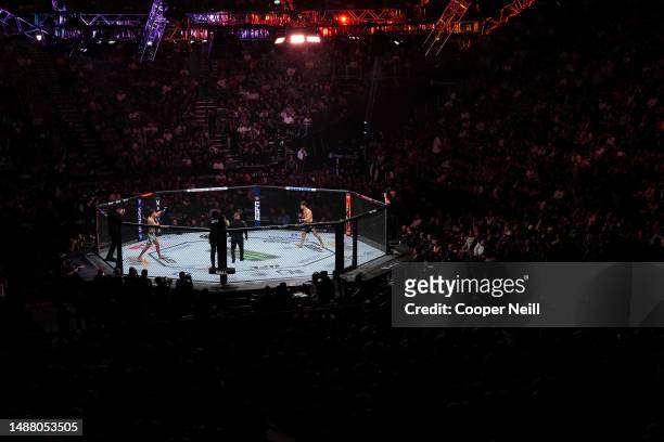 General view of the Octagon as Movsar Evloev of Russia and Diego Lopes of Brazil battle in a featherweight fight during the UFC 288 event at...