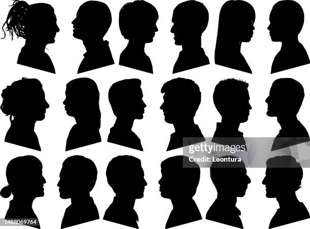 ilustrações de stock, clip art, desenhos animados e ícones de highly detailed profiles - cara metade