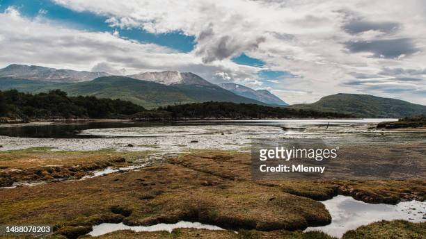 ushuaia tierra del fuego national park argentina - mlenny stock pictures, royalty-free photos & images