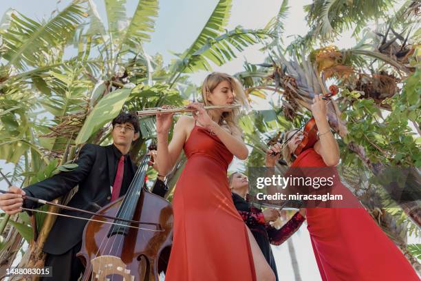 trois musiciens en robe rouge et un musicien en costume noir sous les palmiers. - classical concert photos et images de collection