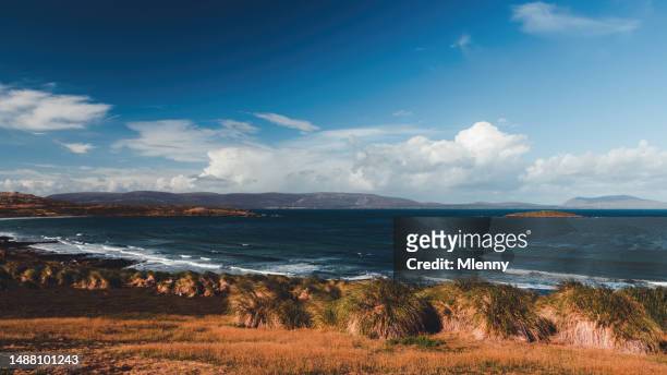 carcass island natural coast falkland islands south atlantic ocean - mlenny stock pictures, royalty-free photos & images