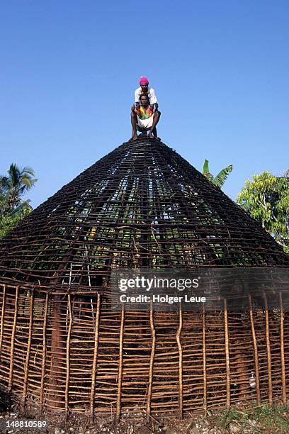 men balancing on roof of traditional hut during roof replacement, jokin. - new caledonia stock pictures, royalty-free photos & images