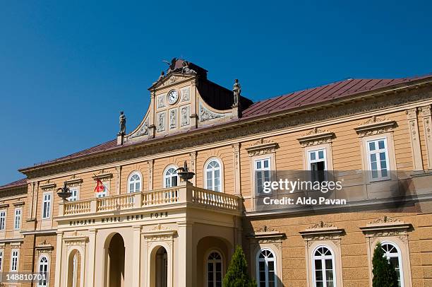 former royal palace. - cetinje stock pictures, royalty-free photos & images