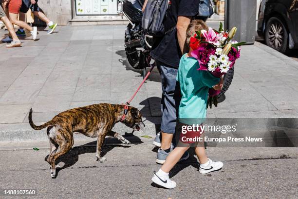 Boy carries a bouquet of flowers from a stall at the Tirso de Molina Flower Market, May 7 in Madrid, Spain. Giving flowers as a Mother's Day gift on...