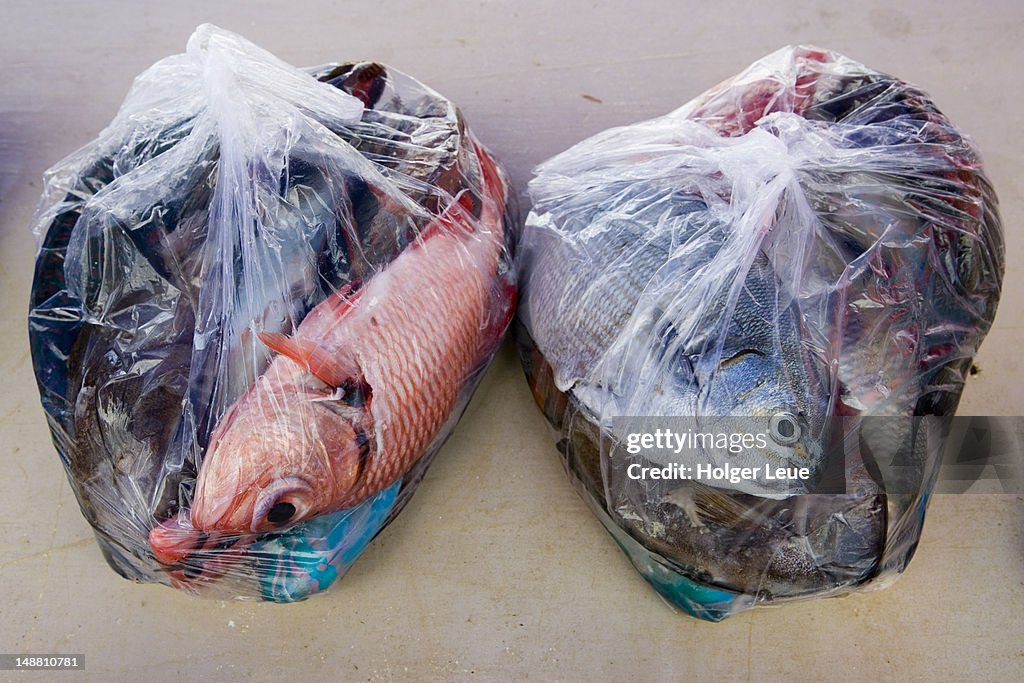 Plastic Bags With Colourful Fish At Fish Market High-Res Stock