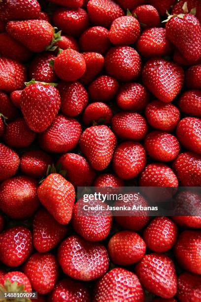 strawberries - fragola foto e immagini stock