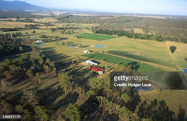 aerial view of vineyards. - hunter valley photos et images de collection