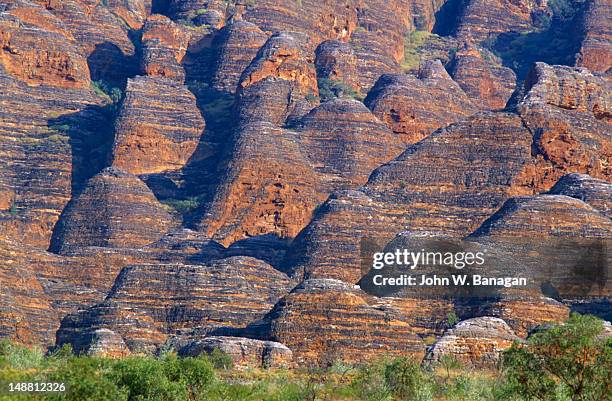 bungle bungles rock formations in the kimbereleys. - bungle bungle stock-fotos und bilder