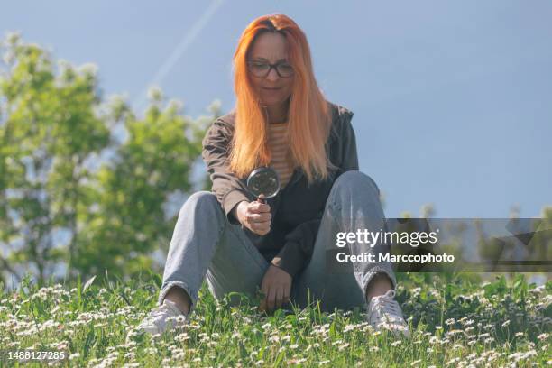 environment plants botany - oranje haar stockfoto's en -beelden