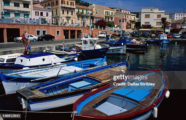 fishing boats moored at la maddalena marina. - insel maddalena stock-fotos und bilder