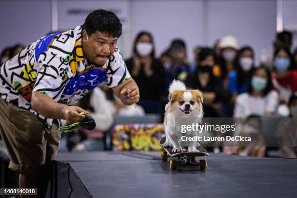 Hunter competes during a skateboarding competition during Pet Expo Thailand on May 07, 2023 in Bangkok, Thailand. Dogs take part in a skateboarding...