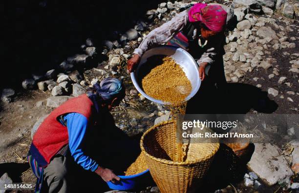 Chhang Chhang Nepal Photos and Premium High Res Pictures - Getty Images