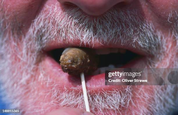 man eating hare testicle with semen sauce, wildfoods festival. - hodensack stock-fotos und bilder