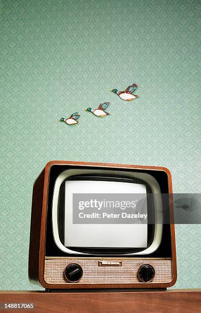 retro tv with flying ducks on the wall behind - retro television set stock pictures, royalty-free photos & images