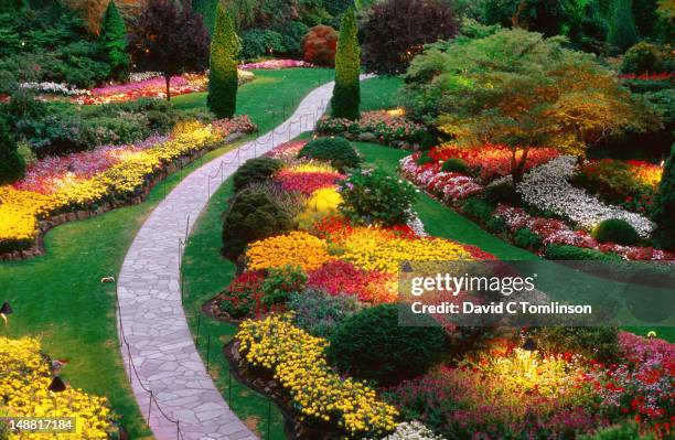 overhead of sunken garden at dusk, butchart gardens, saanich peninsula. - victoria canada stock pictures, royalty-free photos & images