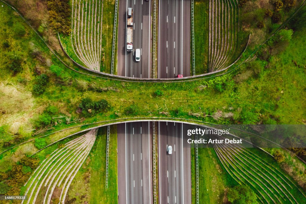 Aerial directly above view of a futuristic green ecoduct bridge for the wildlife, crossing above multiple highway in the Netherlands.