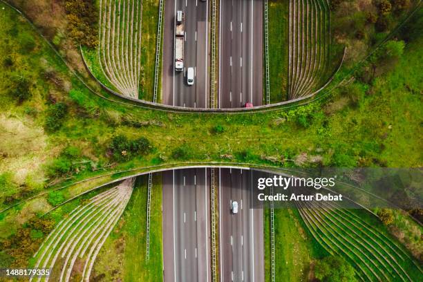 aerial directly above view of a futuristic green ecoduct bridge for the wildlife, crossing above multiple highway in the netherlands. - dutch red cross fotografías e imágenes de stock