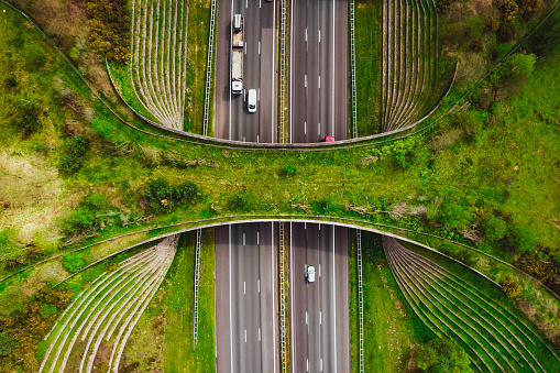 Aerial directly above view of a futuristic green ecoduct bridge for the wildlife, crossing above multiple highway in the Netherlands.