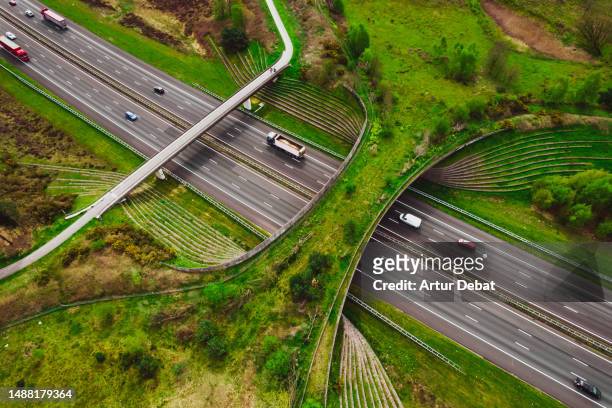 aerial view of a futuristic green ecoduct for the wildlife, crossing above multiple highway in the netherlands with semitrucks. - sustainable transportation stock pictures, royalty-free photos & images