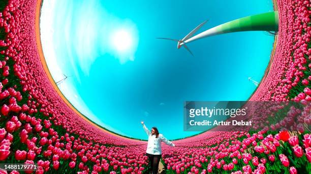 happy woman between tulips with a creative effect of a 360 degrees tunnel landscape under the wind turbines in the netherlands. - 360 people stock-fotos und bilder