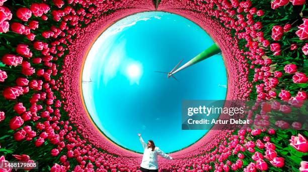 happy woman between tulips with a creative effect of a 360 degrees tunnel landscape under the wind turbines in the netherlands. - 360度視点 ストックフォトと画像