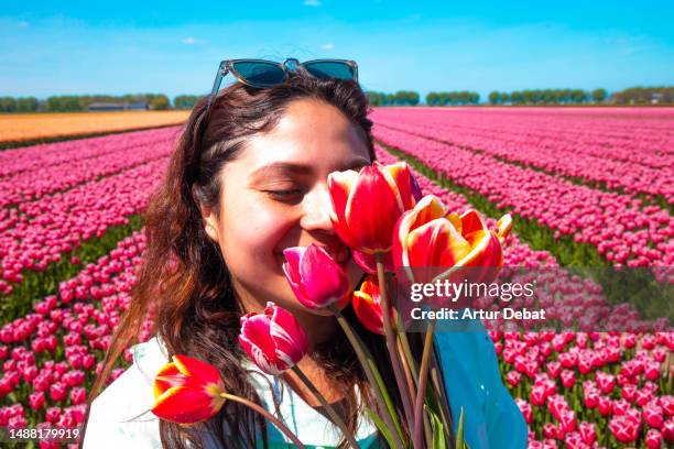 portrait of a latin woman happy, holding a tulip bouquet between the tulip flower fields in the netherlands during a trip. - flevoland stock pictures, royalty-free photos & images