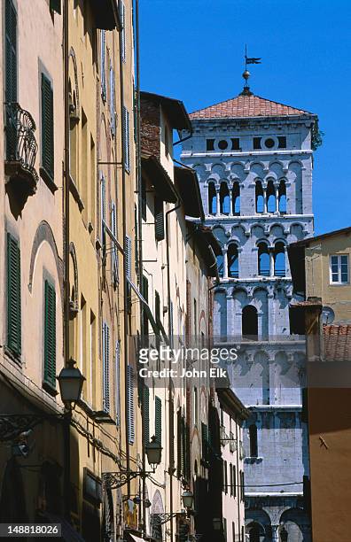 tower and other city buildings. - lucca italy stock pictures, royalty-free photos & images