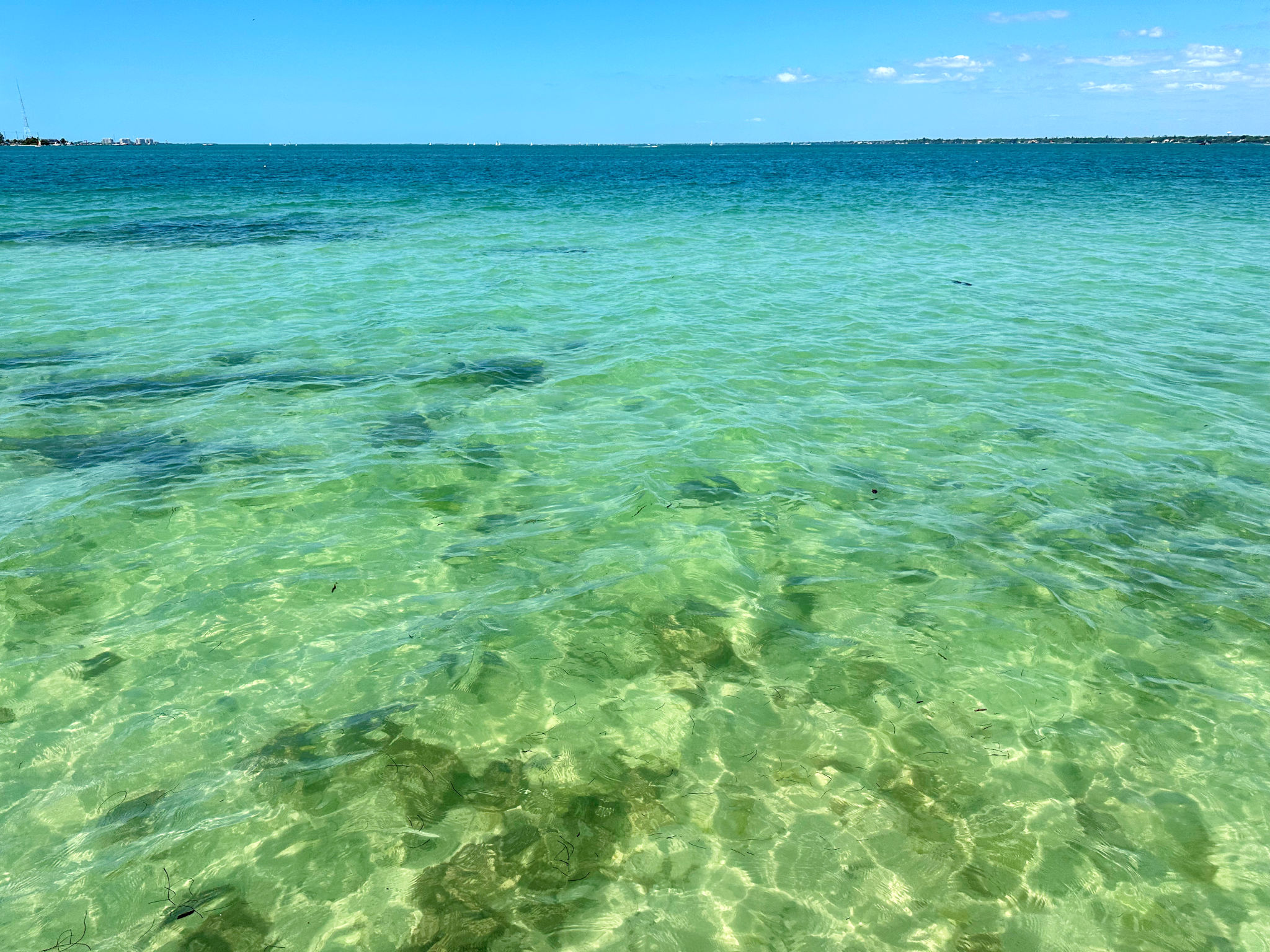 anclote key snorkeling