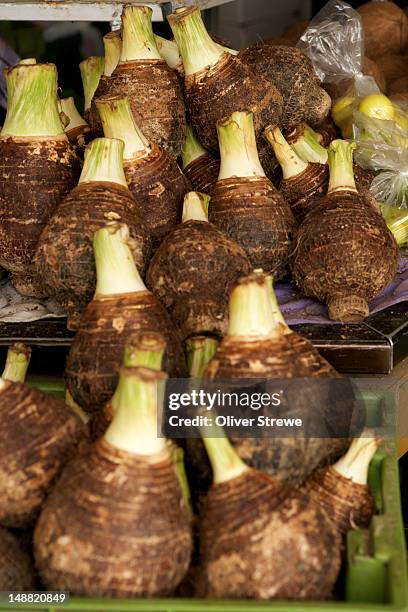 taro noumea market. - noumea stock-fotos und bilder