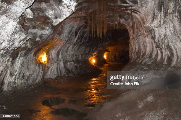 thurston lava tube, created by underground lava flow. - hollow stock pictures, royalty-free photos & images