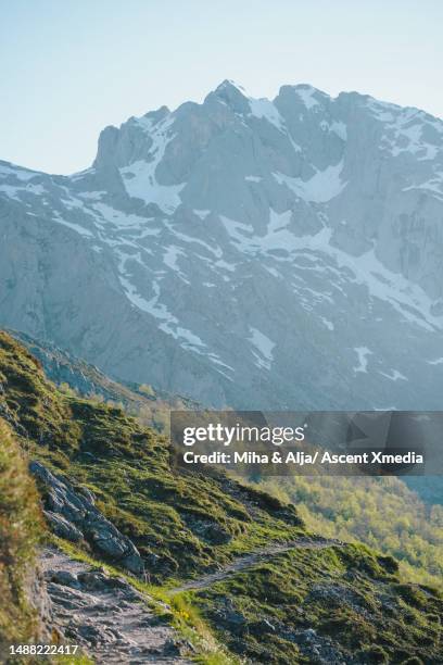 mountain trail leads towards a snowcapped mountain - snow on grass stock pictures, royalty-free photos & images