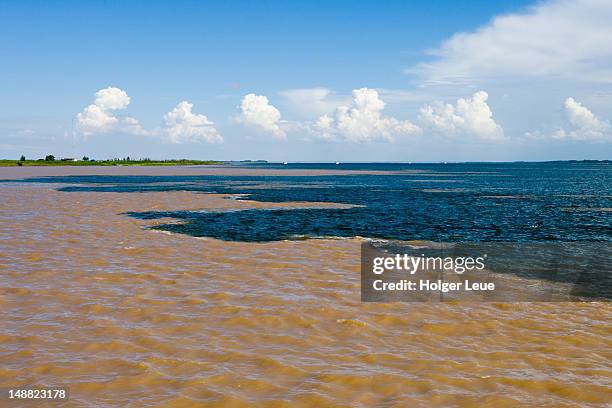 'encontro das aguas' meaning 'meeting of the waters' of amazon river and rio tapajos river. - para state 個照片及圖片檔