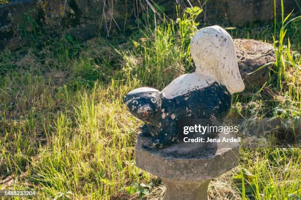 funny lawn statue skunk, kitsch home backyard decoration, ugly lawn statue - funny skunk stockfoto's en -beelden