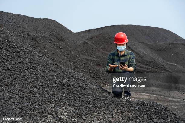 eine technikerin inspiziert die qualität der kohle auf der hafenwerft - china coal mine stock-fotos und bilder