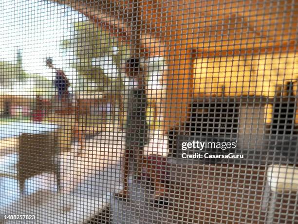 protective mosquito netting on a tent window - foreground focus - netting 個照片及圖片檔