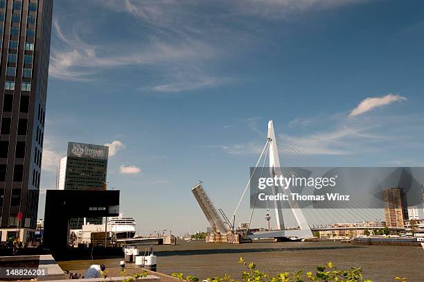 raised bridge deck of erasmus bridge. - rotterdam bridge stock pictures, royalty-free photos & images