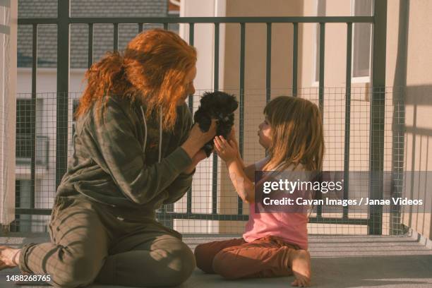 family holding their new black maltese puppy outside in the sunl - black and white shih tzu puppies photos et images de collection