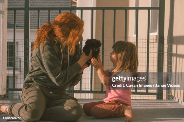 family holding their new black maltese puppy outside in the sunl - child holding toy dog stock pictures, royalty-free photos & images