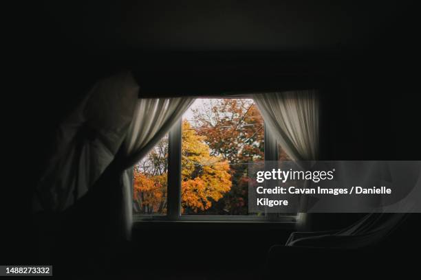 Fall Tree Window View 1,233 Tree Viewed Through Window Stock Photos, High-Res Pictures, and ...