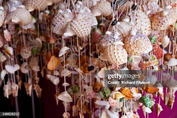 shell souvenirs displayed outside shop in oriental village shopping centre, pantai kok. - pantai kok stock pictures, royalty-free photos & images