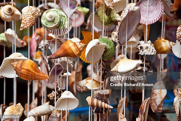 shell souvenirs displayed outside shop in oriental village shopping centre, pantai kok. - pantai kok stock pictures, royalty-free photos & images