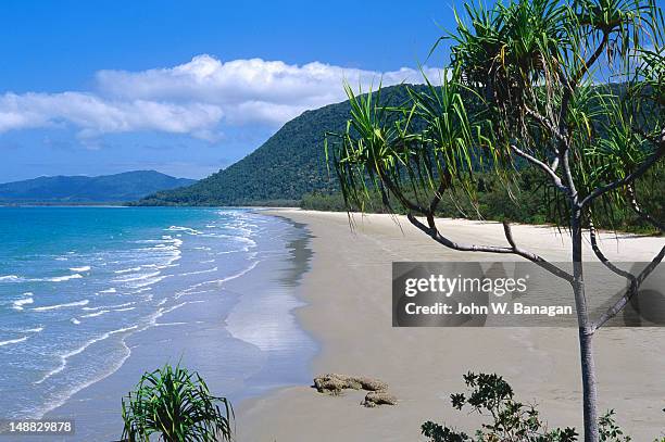 beaches and rainforest of cape tribulation. - cape tribulation fotografías e imágenes de stock