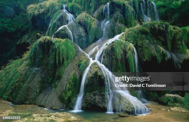 waterfall on dard river, baume-les-messieurs. - jura stockfoto's en -beelden