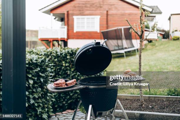 barbeque grill time. - juicy stock pictures, royalty-free photos & images