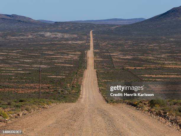 spring flowers in bloom in namaqualand, south africa - 半沙漠高原 個照片及圖片檔