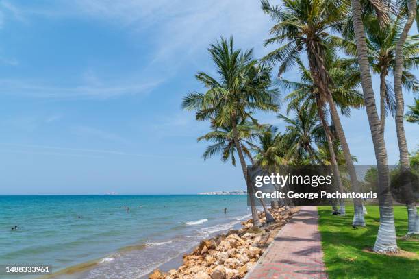 walking path and palm trees next to the sea - oman muscat stock pictures, royalty-free photos & images